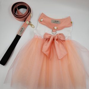 Peach Dress With Tulle (Girl)