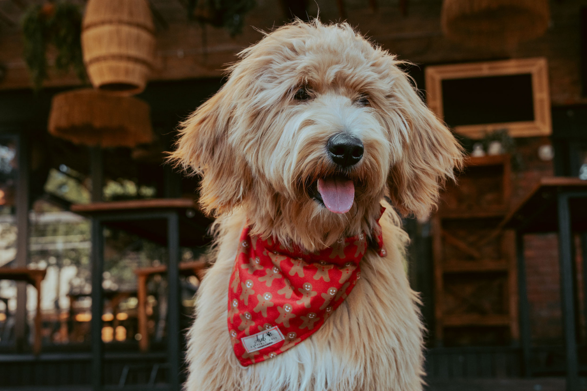 Classic Clip-on Bandana